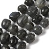 Natural Larvikite Beads Strands G-Q169-E05-01-1