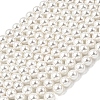 Electroplated Shell Pearl Beads Strands BSHE-K017-8mm-1