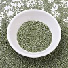 MIYUKI Delica Beads SEED-J020-DB0263-2