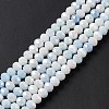 Faceted Electroplated Glass Beads Strands X-GLAA-C023-02A-6