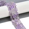 Natural Amethyst Beads Strands G-G162-D04-01-2