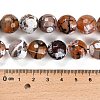 Natural Fire Crackle Agate Beads Strands G-L595-A02-01C-5