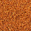 MIYUKI Delica Beads SEED-X0054-DB0681-3