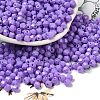 Baking Painted Glass Seed Beads SEED-C004-01T-1