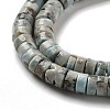 Natural Larimar Beads Strands G-Q024-B03-03-4