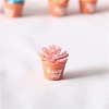 Mini Resin Artificial Succulent Plant Ornaments PW-WG32044-02-1