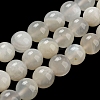 Natural White Moonstone Beads Strands X-G-F306-05AB-6mm-01-2