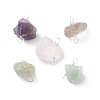 Natural Gemstone Connector Charms PALLOY-JF01390-02-1