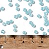 Glass Seed Beads X1-SEED-H002-E-A1411-4