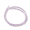 Natural Trochus Shell Beads Strands X-SHEL-K006-19B-2