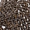 FGB Transparent Glass Seed Beads SEED-N013-01C-18-4