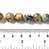Dyed Natural Imperial Jasper Beads Strands G-Q161-A02-04-4