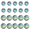 20Pcs 2 Styles Natural Abalone Shell/Paua Shell Beads Strands SSHEL-HY0001-10-1