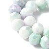 Electroplate Glass Beads Strands LAMP-S068-11C-3