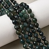Natural Moss Agate Beads Strands G-K376-F16-01-1