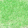 12/0 Transparent Glass Seed Beads SEED-F003-03C-13-3