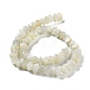 Natural White Moonstone Beads Strands G-D091-A11-3