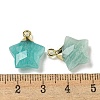 Natural Amazonite Pendants G-P540-01G-03-3