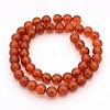 Gemstone Beads Strands GSR8MM060-1-3