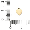 304 Stainless Steel Charms SA-CBA2C9D-02G-3