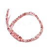 Natural Freshwater Shell Beads SHEL-B003-01N-2