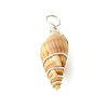 Natural Spiral Shell Pendants PALLOY-JF02793-02-3