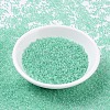 MIYUKI Round Rocailles Beads SEED-JP0008-RR0219-2