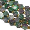 Dyed Natural Fuchsite Beads Strands G-F833-B04-01-3