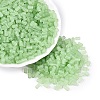 FGB Frosted Transparent Glass Seed Beads SEED-N013-05A-08-1