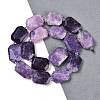 Natural Lepidolite Beads Strands G-B125-P25-01-2