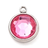 304 Stainless Steel Charms LS-STAS-I165-04A-P-01-1