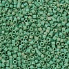 MIYUKI Delica Beads SEED-MY11-DB0877-3