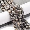 Natural Map Stone Beads Strands G-G146-A11-01-2