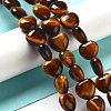 Natural Tiger Eye Beads Strands G-P528-C02-01-2