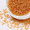 6/0 Grade A Round Glass Seed Beads SEED-Q007-4mm-F31-1