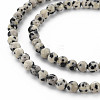 Natural Dalmatian Jasper Bead Strands G-R345-4mm-51-01-3