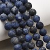 Natural Sodalite Beads Strands X-G-Q462-8mm-07-7