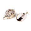 Electroplate Natural Sea Shell Pendants SSHEL-T017-44-2