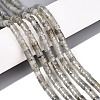 Natural Labradorite Beads Strands G-F631-A38-1