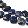 Natural Lapis Lazuli Beads Strands G-H078-B18-01-4