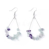 Dangle Earrings EJEW-E255-B20-2