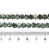 Natural Green Spot Jasper Beads Strands G-H087-C01-01-5