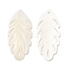 Natural Freshwater Shell Big Pendants SHEL-F007-19-2