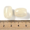 Resin European Beads RESI-F055-11G-3