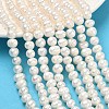Natural Cultured Freshwater Pearl Beads Strands PEAR-L034-10B-1