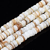 Natural Freshwater Shell Beads Strands X-SHEL-T018-28-1