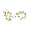 Rack Plating Brass Leaf Wrap Stud Earrings EJEW-F294-03G-1
