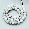 Natural Quartz Beads Strands G-N355-8mm-01-2