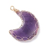 Natural Gemstone Pendants PALLOY-JF01421-3