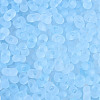 FGB Frosted Transparent Glass Seed Beads SEED-N013-06A-11-3
